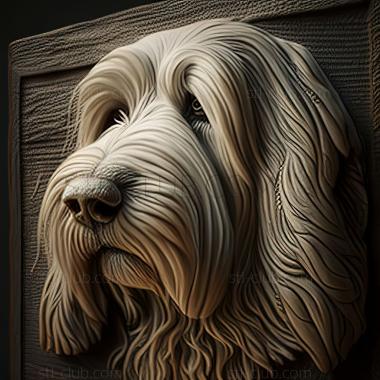 3D model st Bearded Collie dog (STL)